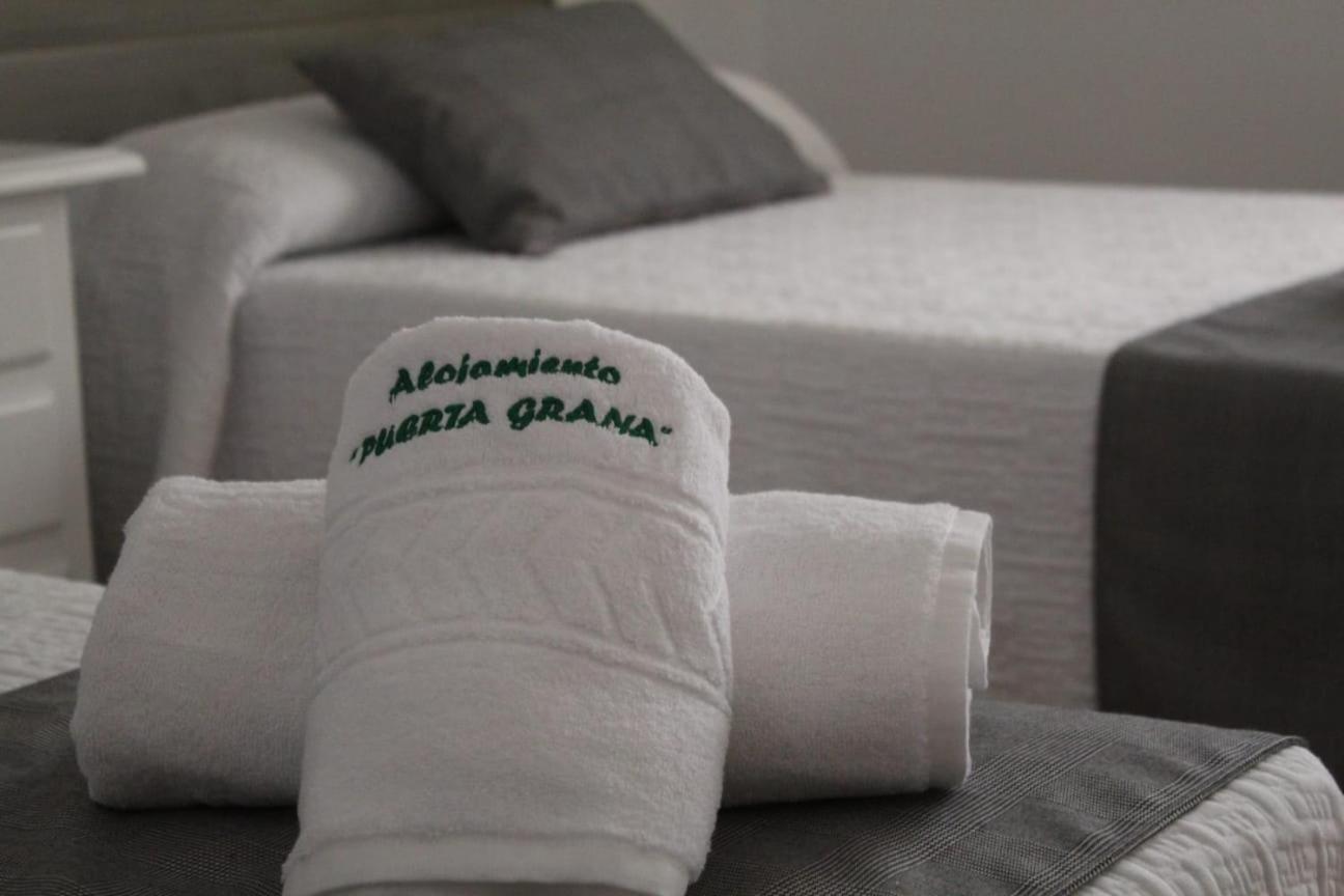 Apartamento Puerta Grana Priego. 普里埃格·德·科尔多巴 外观 照片